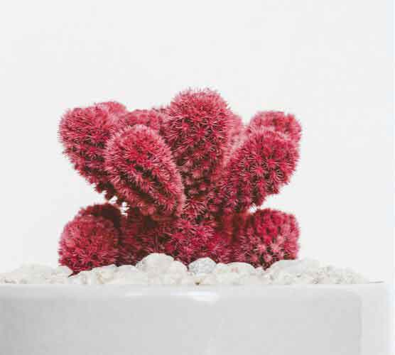 ddos服务器攻击手段